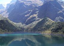 Electrical category banner